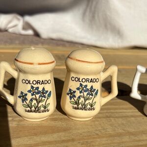 Colorado Floral Ceramic Salt and Pepper Shakers - Cream and Blue